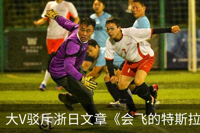 大V驳斥浙日文章《会飞的特斯拉敲打中国企业》浮夸装腔作势！网友：好好一个车，你翻滚它干什么玩意？